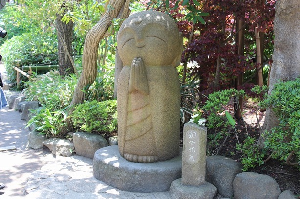 ���X�z������