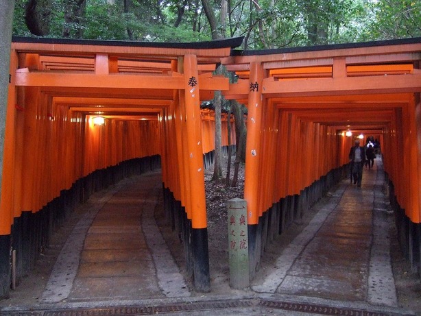 ���X�z������