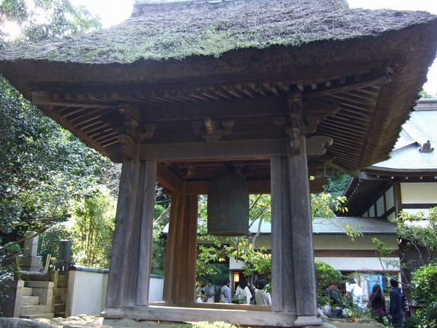 ���X�z������