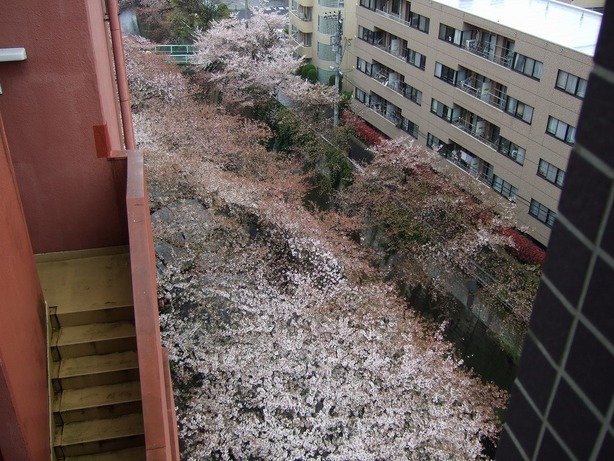 ���X�z������