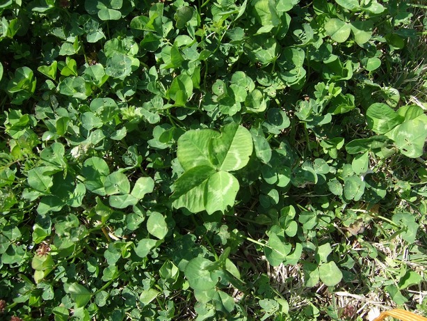 ���X�z������