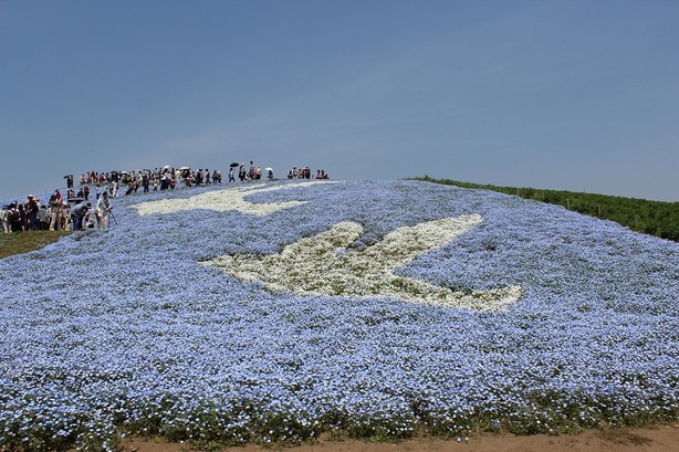 ���X�z������