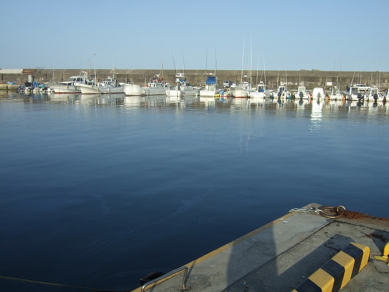 ���X�z������