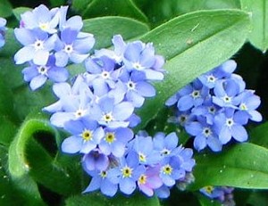 ���X�z������