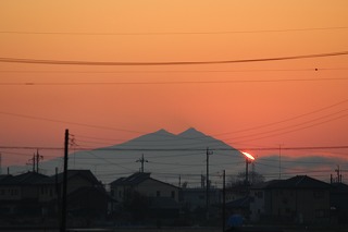 ���X�z������