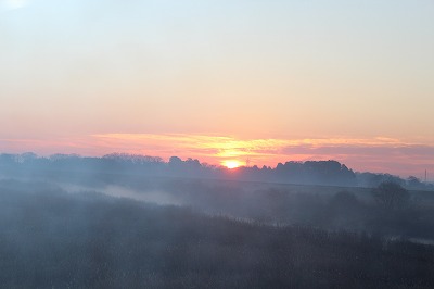 ���X�z������