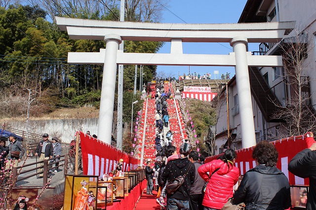 ���X�z������