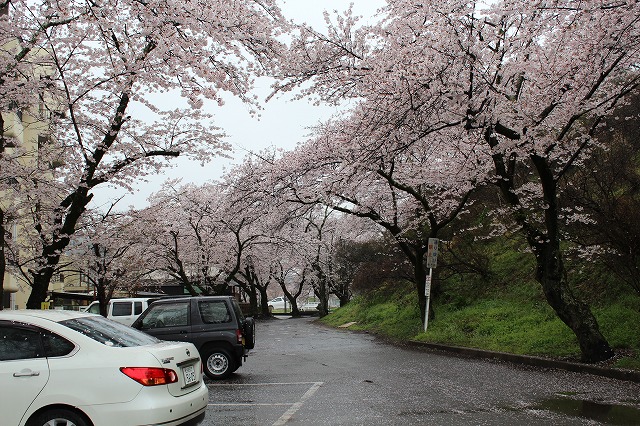 ���X�z������