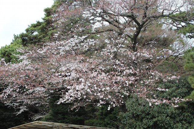 ���X�z������