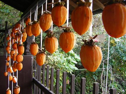 �����̂���c�ɕ��̂��X�@�V���~