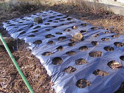 �����̂���c�ɕ��̂��X�@�V���~