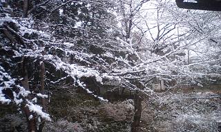 �����̂���c�ɕ��̂��X�@�V���~