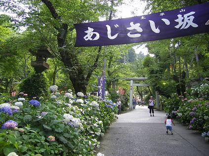 �����̂���c�ɕ��̂��X�@�V���~