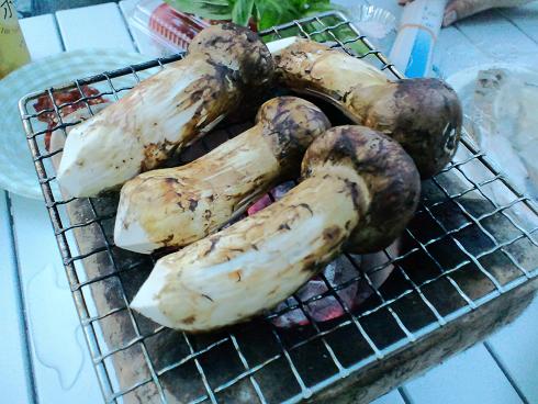 �����̂���c�ɕ��̂��X�@�V���~