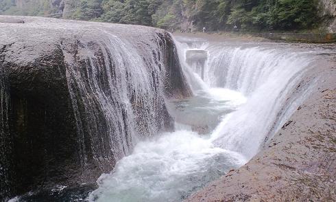 �����̂���c�ɕ��̂��X�@�V���~