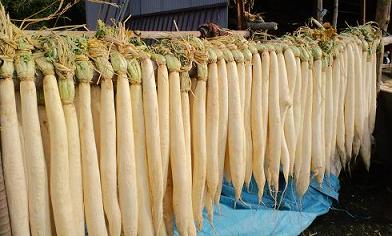 �����̂���c�ɕ��̂��X�@�V���~