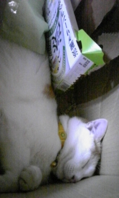 �F�ƒK�ƈ��L(�l���������r�s�d�k�k�`)�̐���