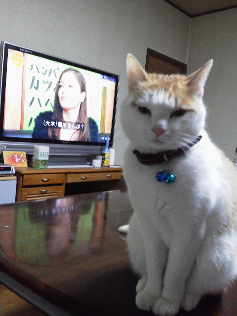 �F�ƒK�ƈ��L(�l���������r�s�d�k�k�`)�̐���