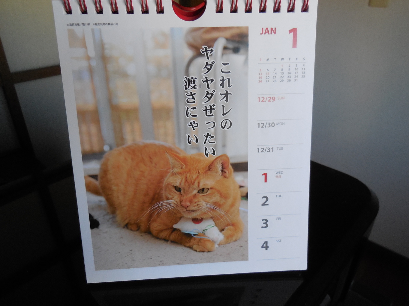 �F�ƒK�ƈ��L(�l���������r�s�d�k�k�`)�̐���