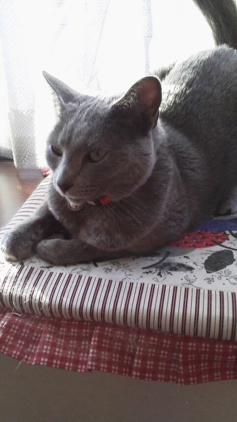 �F�ƒK�ƈ��L(�l���������r�s�d�k�k�`)�̐���