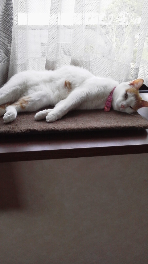 �F�ƒK�ƈ��L(�l���������r�s�d�k�k�`)�̐���