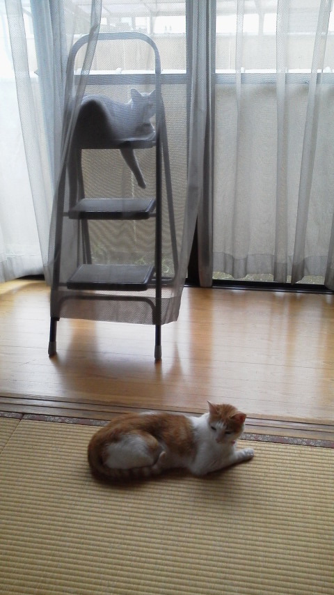 �F�ƒK�ƈ��L(�l���������r�s�d�k�k�`)�̐���