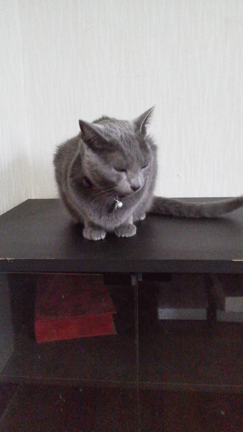 �F�ƒK�ƈ��L(�l���������r�s�d�k�k�`)�̐���