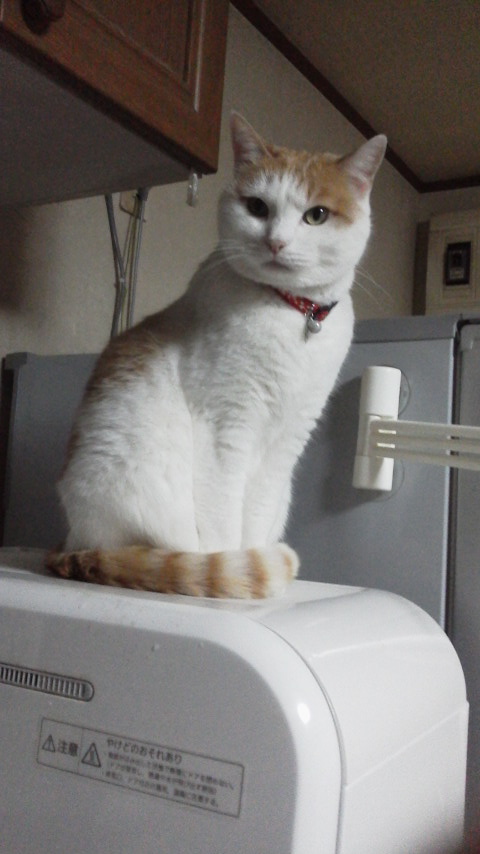 �F�ƒK�ƈ��L(�l���������r�s�d�k�k�`)�̐���