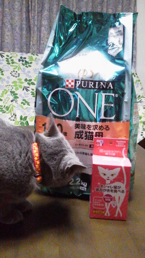 �F�ƒK�ƈ��L(�l���������r�s�d�k�k�`)�̐���