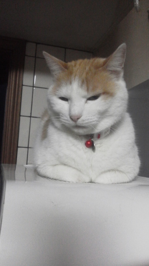 �F�ƒK�ƈ��L(�l���������r�s�d�k�k�`)�̐���