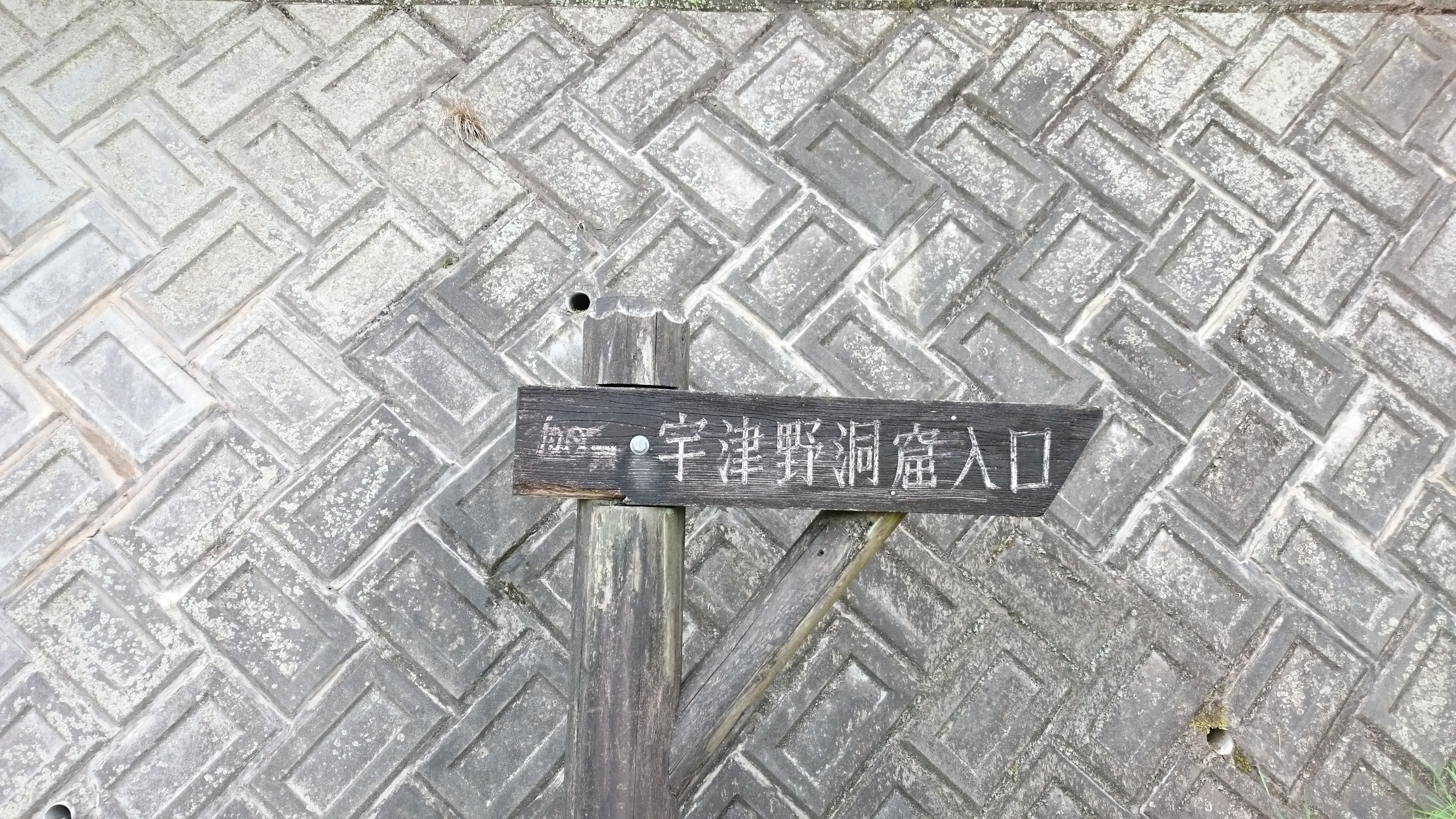 �F�ƒK�ƈ��L(�l���������r�s�d�k�k�`)�̐���