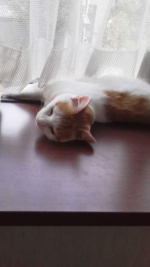 �F�ƒK�ƈ��L(�l���������r�s�d�k�k�`)�̐���