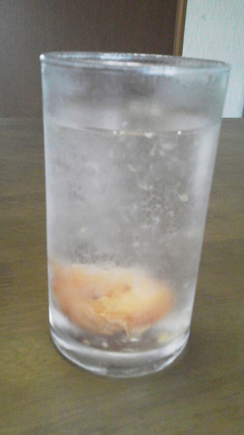 �F�ƒK�ƈ��L(�l���������r�s�d�k�k�`)�̐���