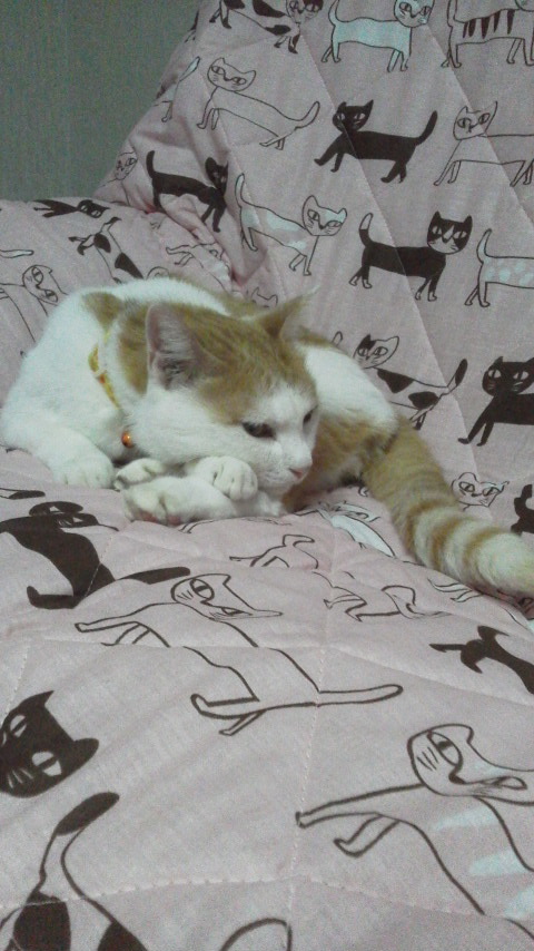 �F�ƒK�ƈ��L(�l���������r�s�d�k�k�`)�̐���