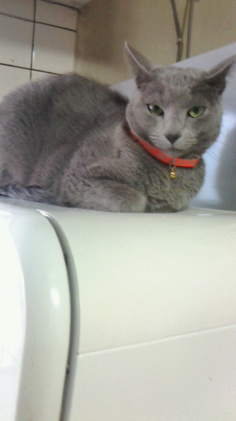 �F�ƒK�ƈ��L(�l���������r�s�d�k�k�`)�̐���