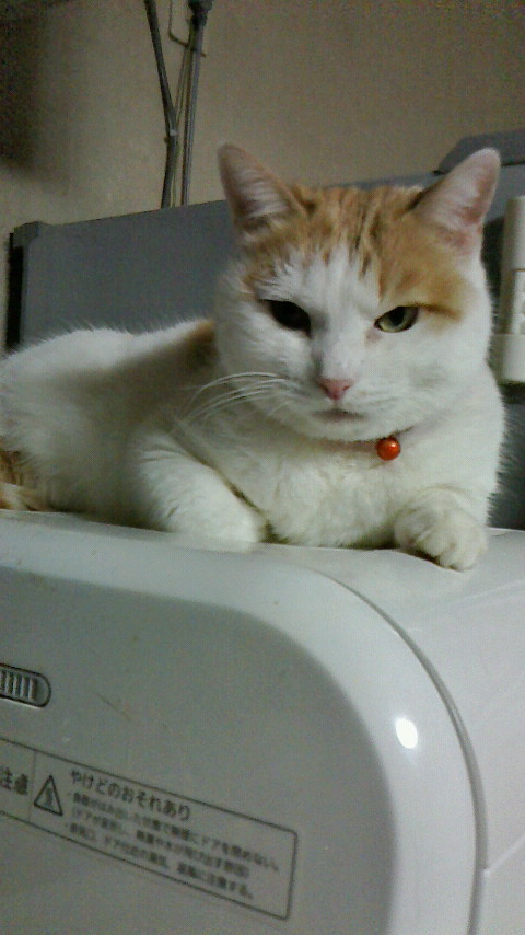 �F�ƒK�ƈ��L(�l���������r�s�d�k�k�`)�̐���