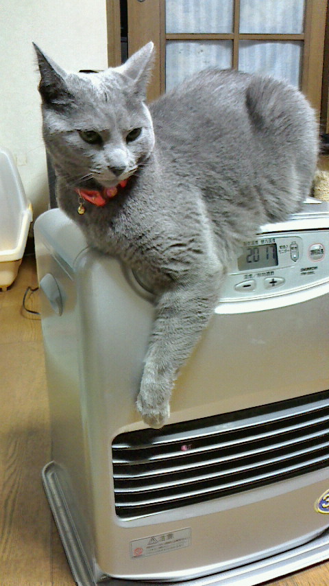 �F�ƒK�ƈ��L(�l���������r�s�d�k�k�`)�̐���