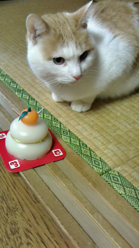 �F�ƒK�ƈ��L(�l���������r�s�d�k�k�`)�̐���