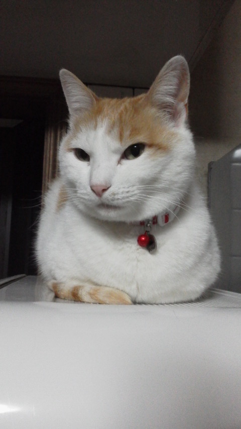 �F�ƒK�ƈ��L(�l���������r�s�d�k�k�`)�̐���