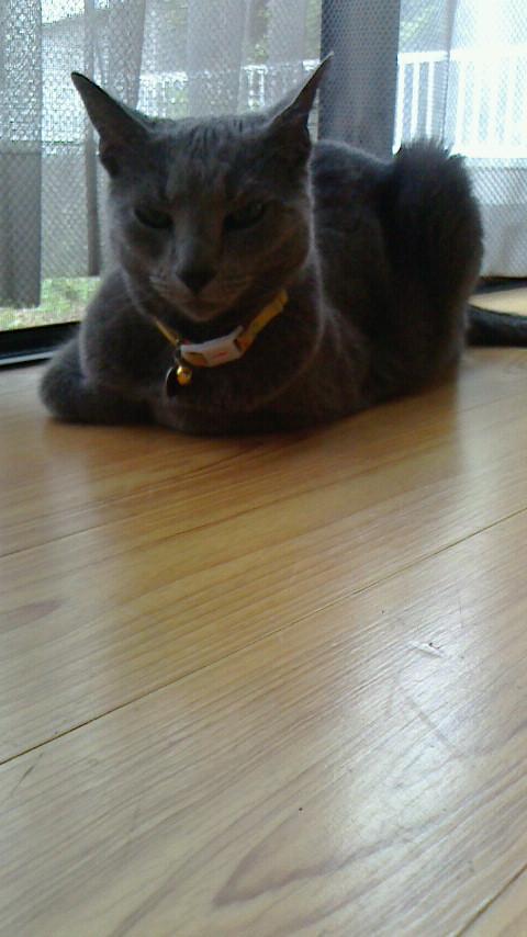 �F�ƒK�ƈ��L(�l���������r�s�d�k�k�`)�̐���