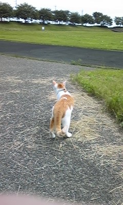 �F�ƒK�ƈ��L(�l���������r�s�d�k�k�`)�̐���