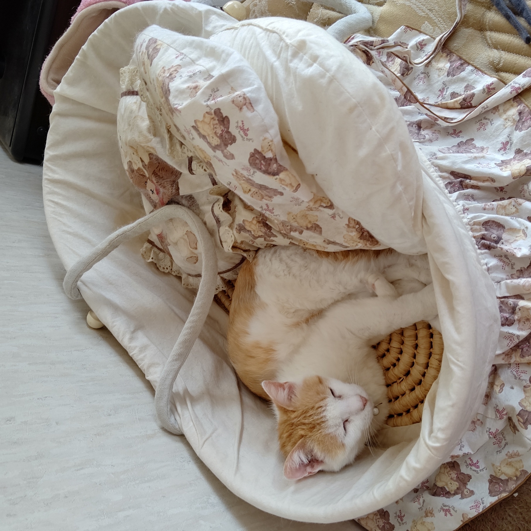 �F�ƒK�ƈ��L(�l���������r�s�d�k�k�`)�̐���