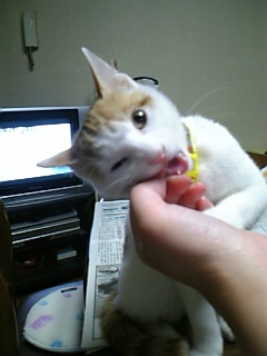 �F�ƒK�ƈ��L(�l���������r�s�d�k�k�`)�̐���