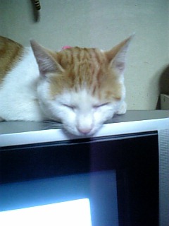 �F�ƒK�ƈ��L(�l���������r�s�d�k�k�`)�̐���