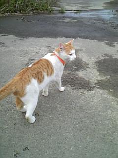 �F�ƒK�ƈ��L(�l���������r�s�d�k�k�`)�̐���