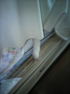 �F�ƒK�ƈ��L(�l���������r�s�d�k�k�`)�̐���