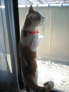 �F�ƒK�ƈ��L(�l���������r�s�d�k�k�`)�̐���