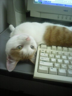 �F�ƒK�ƈ��L(�l���������r�s�d�k�k�`)�̐���