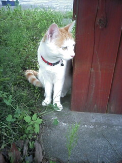 �F�ƒK�ƈ��L(�l���������r�s�d�k�k�`)�̐���