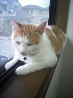 �F�ƒK�ƈ��L(�l���������r�s�d�k�k�`)�̐���